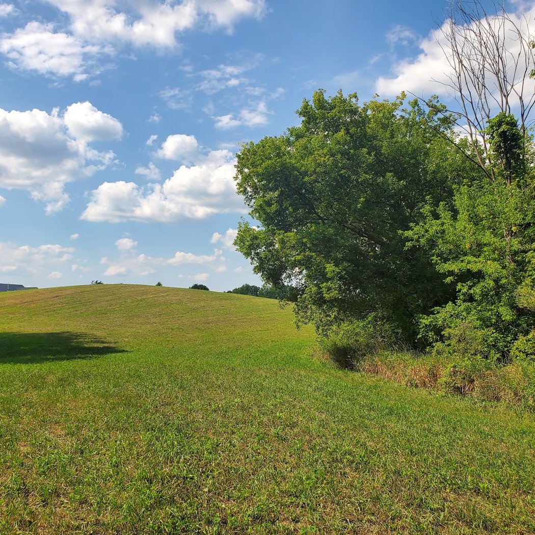 Brauer Preserve 2