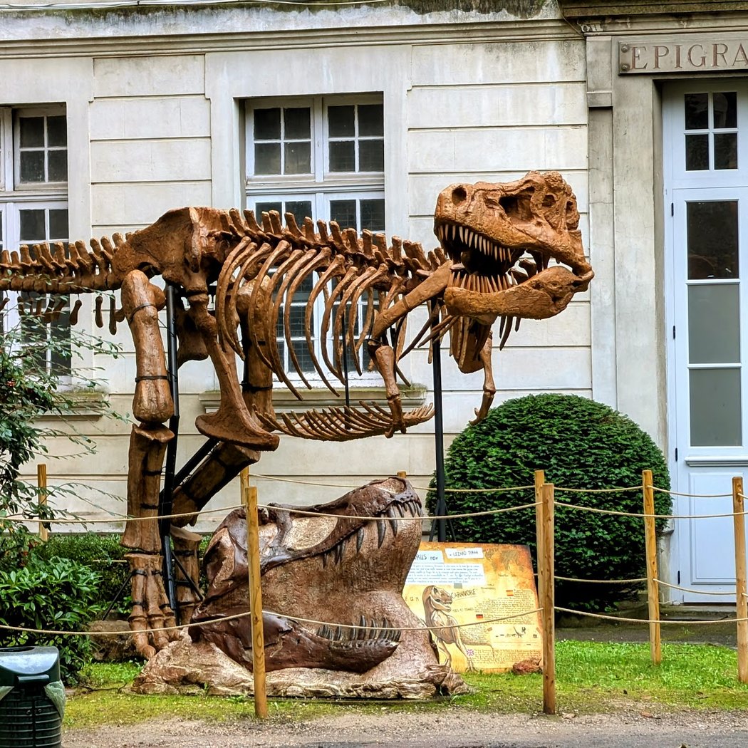 Muséum d'histoire naturelle de Nîmes 1