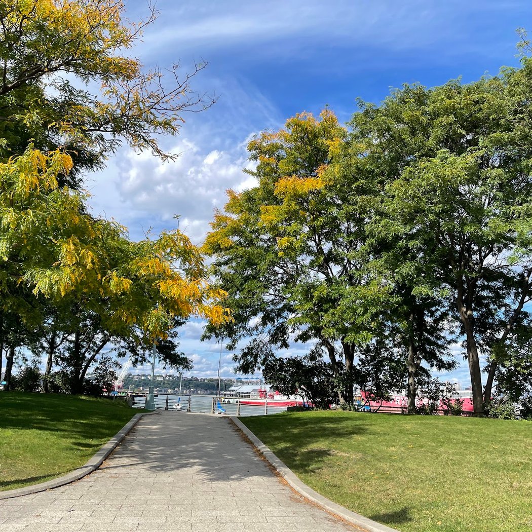 Pier 63 at Hudson River Park 3