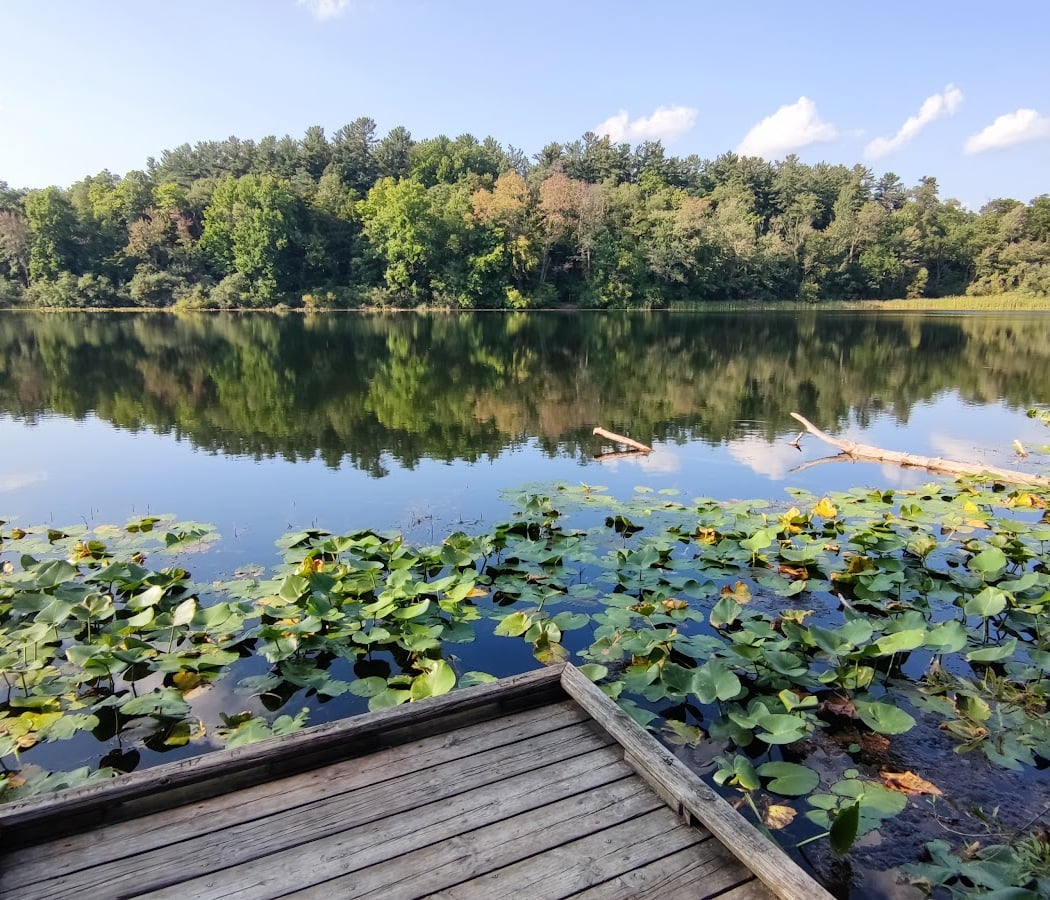 Saginaw Forest Trailhead and Parking 1