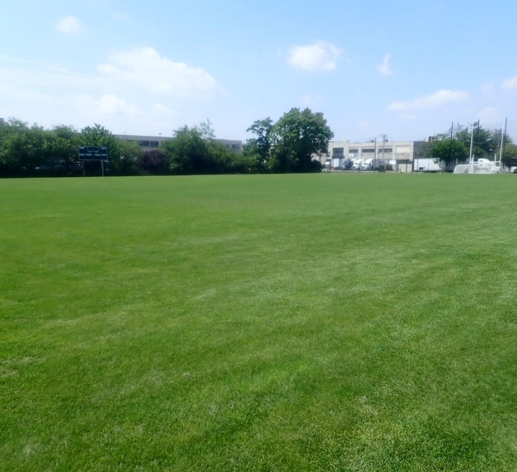 Frank Golden Park 2