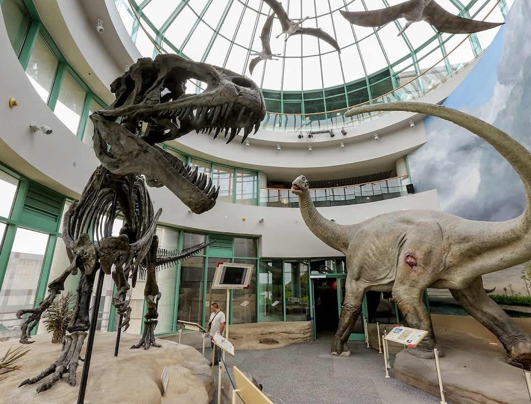 North Carolina Museum of Natural Sciences 1