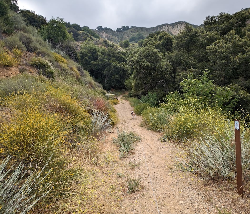 Newhall Pass Open-Space North Trailhead 1