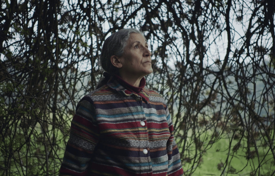 Foragers, de Jumana Manna 1