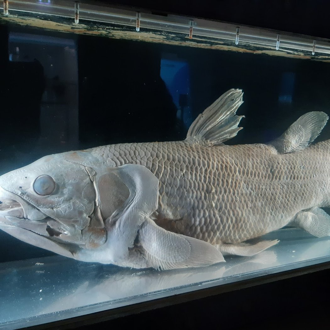 Exposition The Wildlife Odyssey, une immersion photographique au cœur des océans
