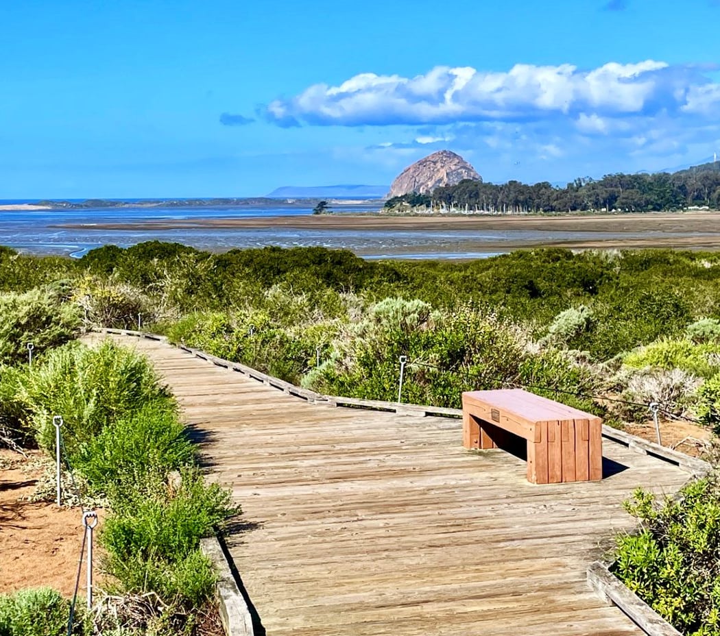 El Moro Elfin Forest Walk 1