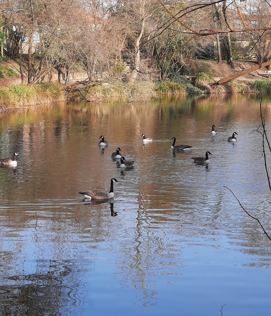 Lac des Primevères 3