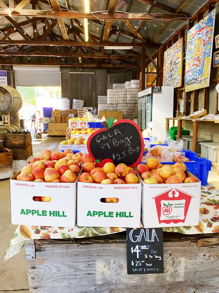 Apple Hill 1