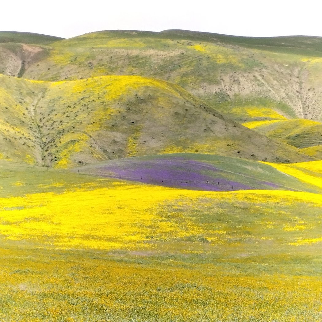 Carrizo Plain National Monument 3