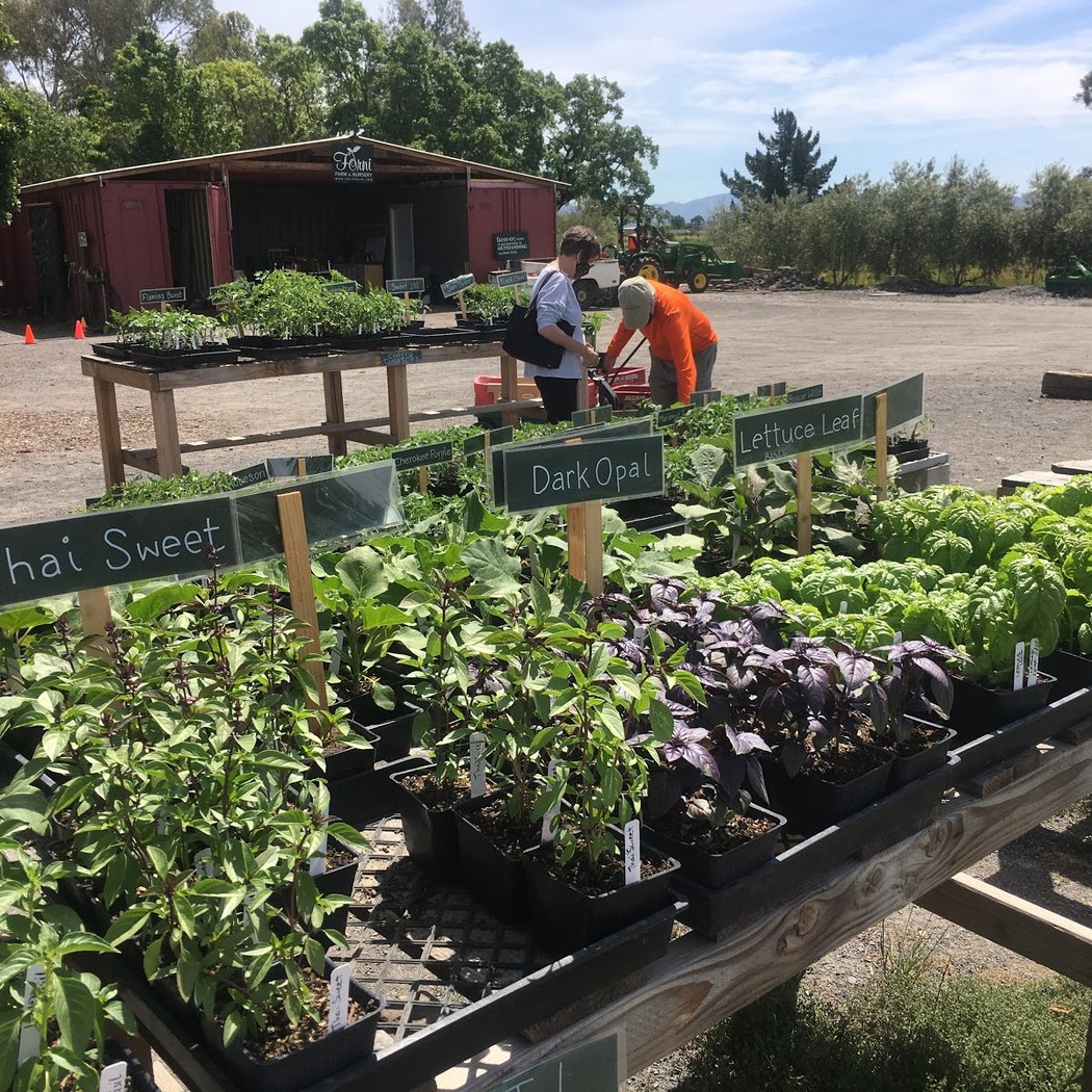 Forni Farm & Nursery 3