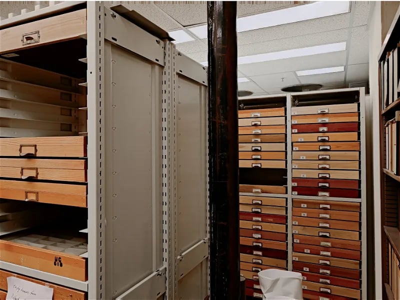 Essig Museum of Entomology Research 2