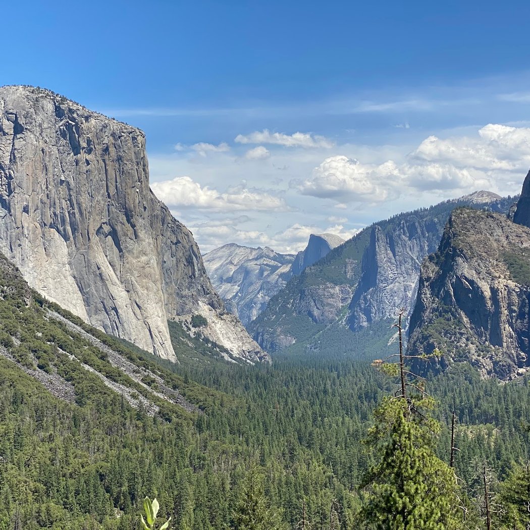 Yosemite Valley Loop Trail 2