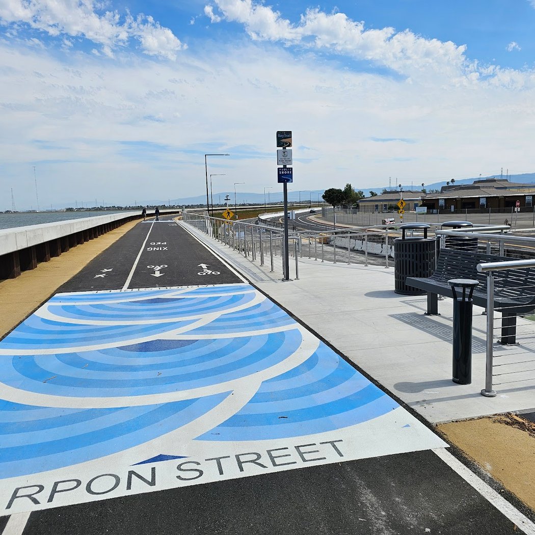 Foster City Levee 3