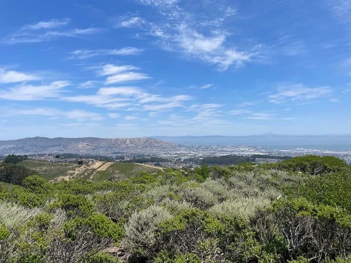 Sweeney Ridge Trail 2