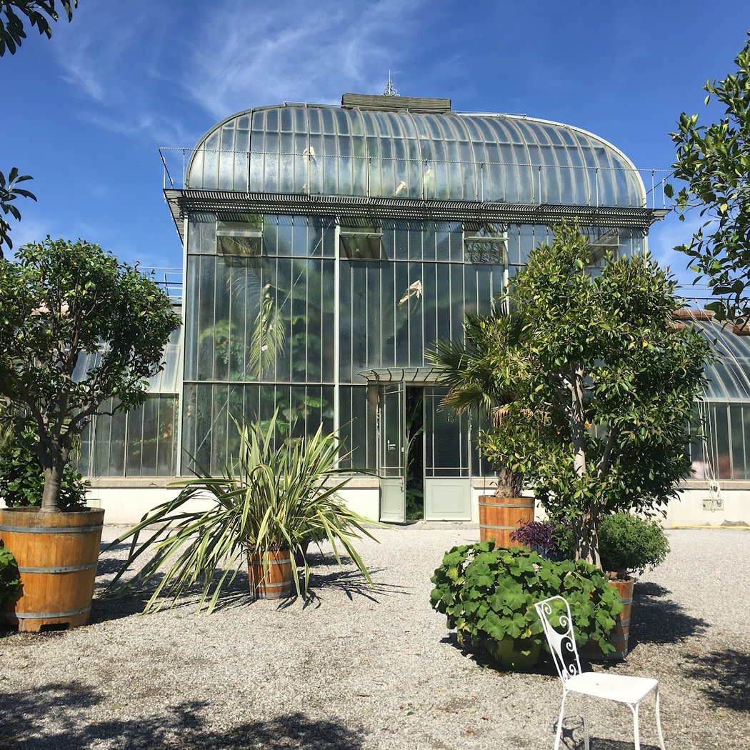 Conservatoire et Jardin botaniques de Genève 3