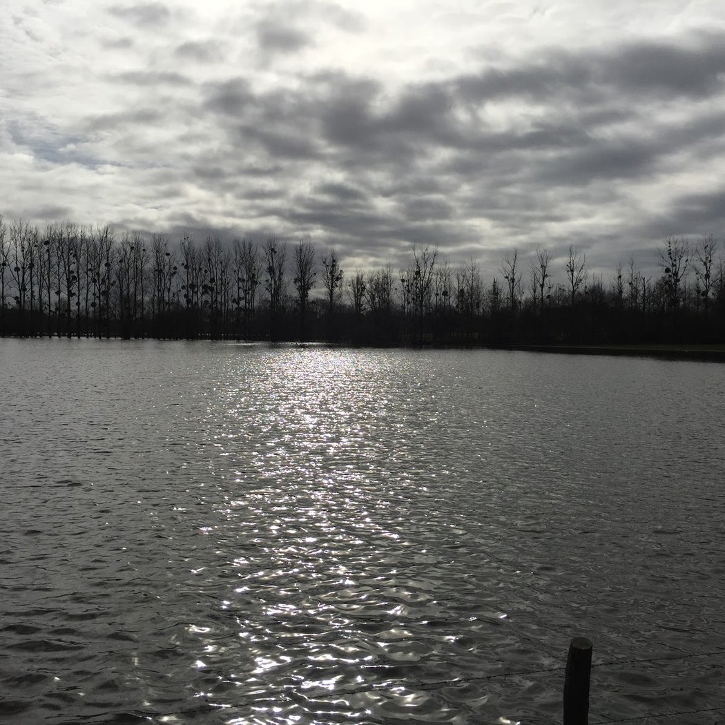 Marais de Grée 2