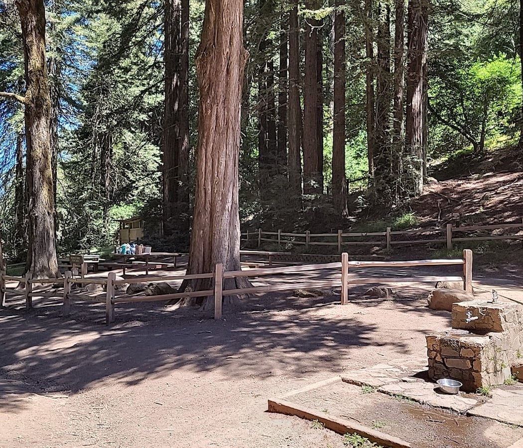 Redwood Bowl Picnic Spot 1