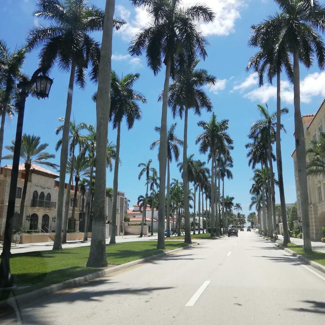 Palm Beach 3
