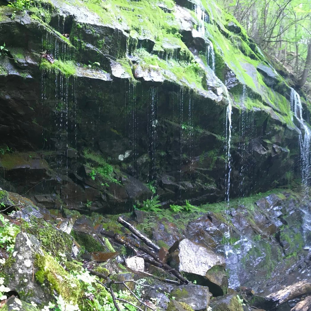 Shaupeneak Ridge Park 2
