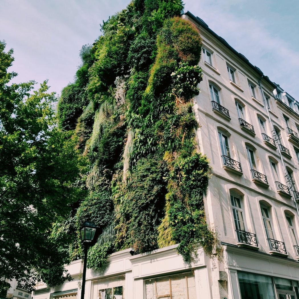Vertical Garden 1