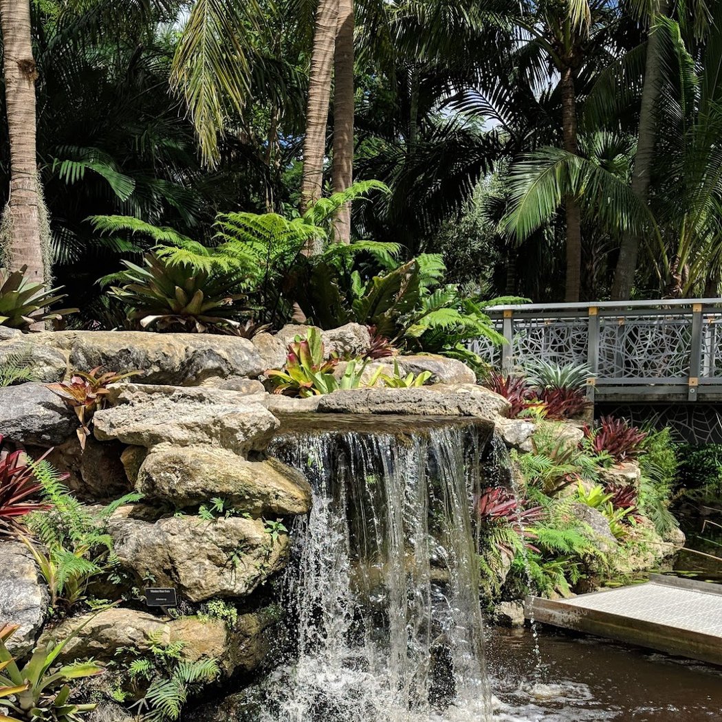 Mounts Botanical Garden 3