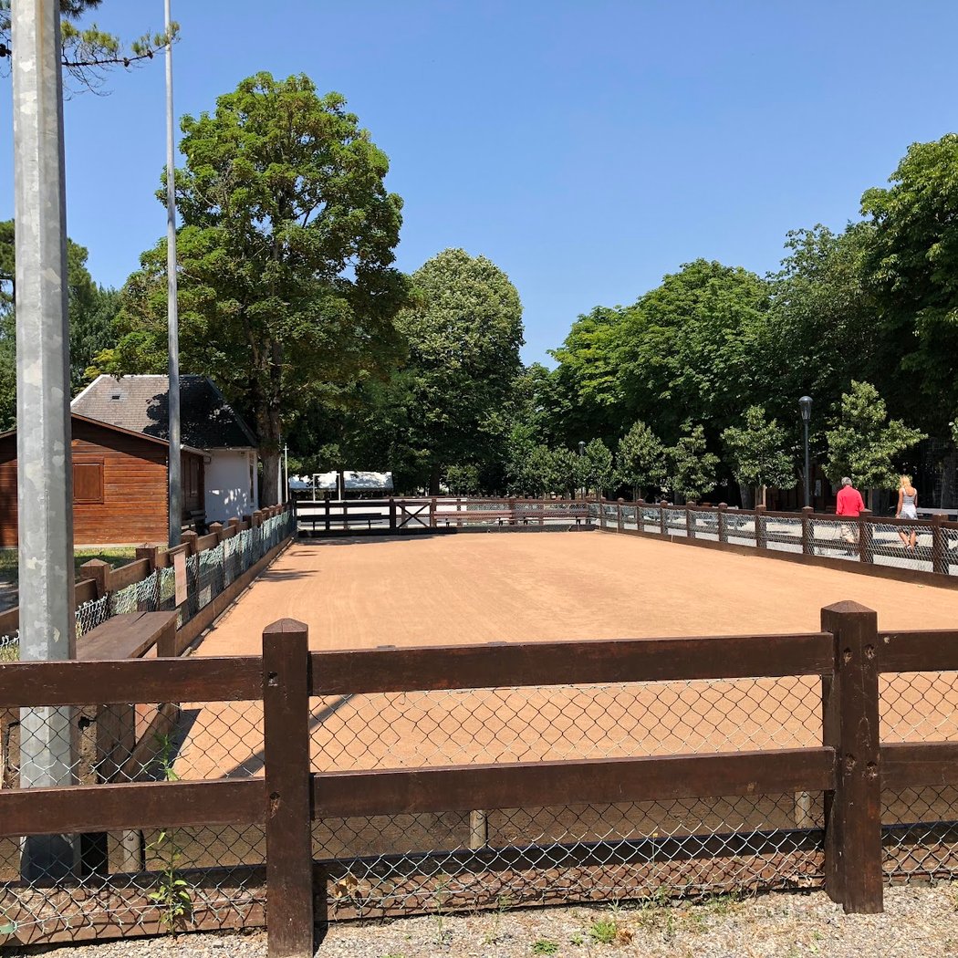 Concours de boules lyonnaises 5