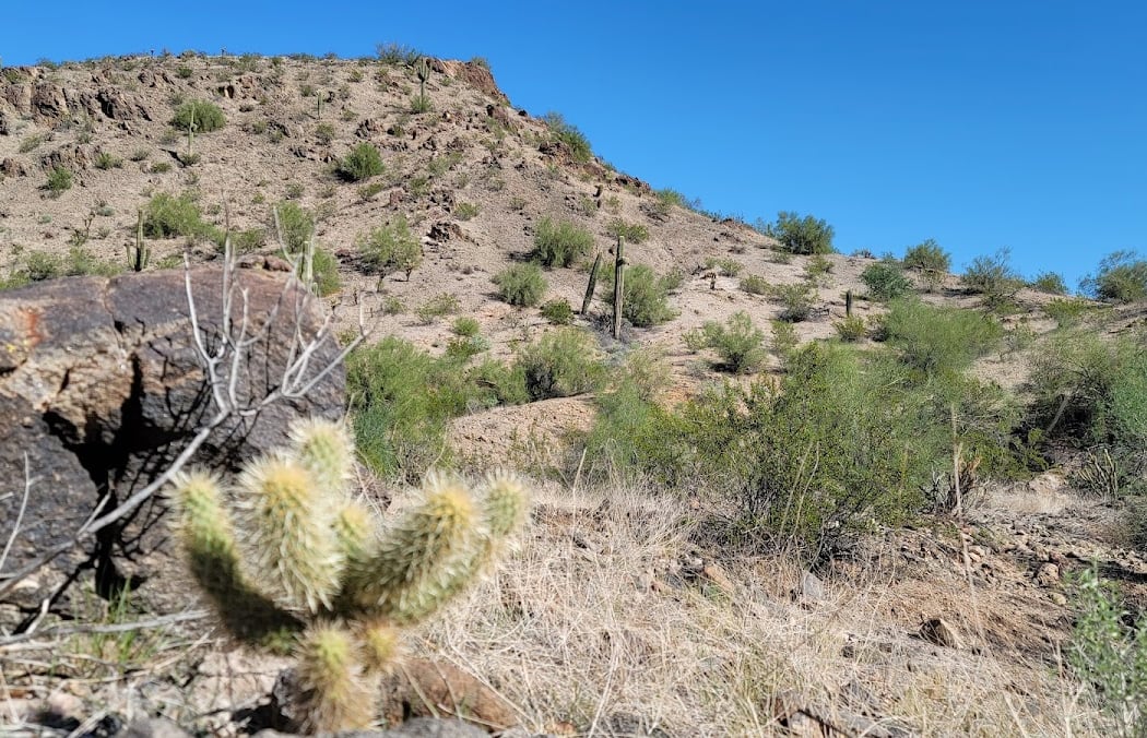 Estrella Mountain Regional Park 3