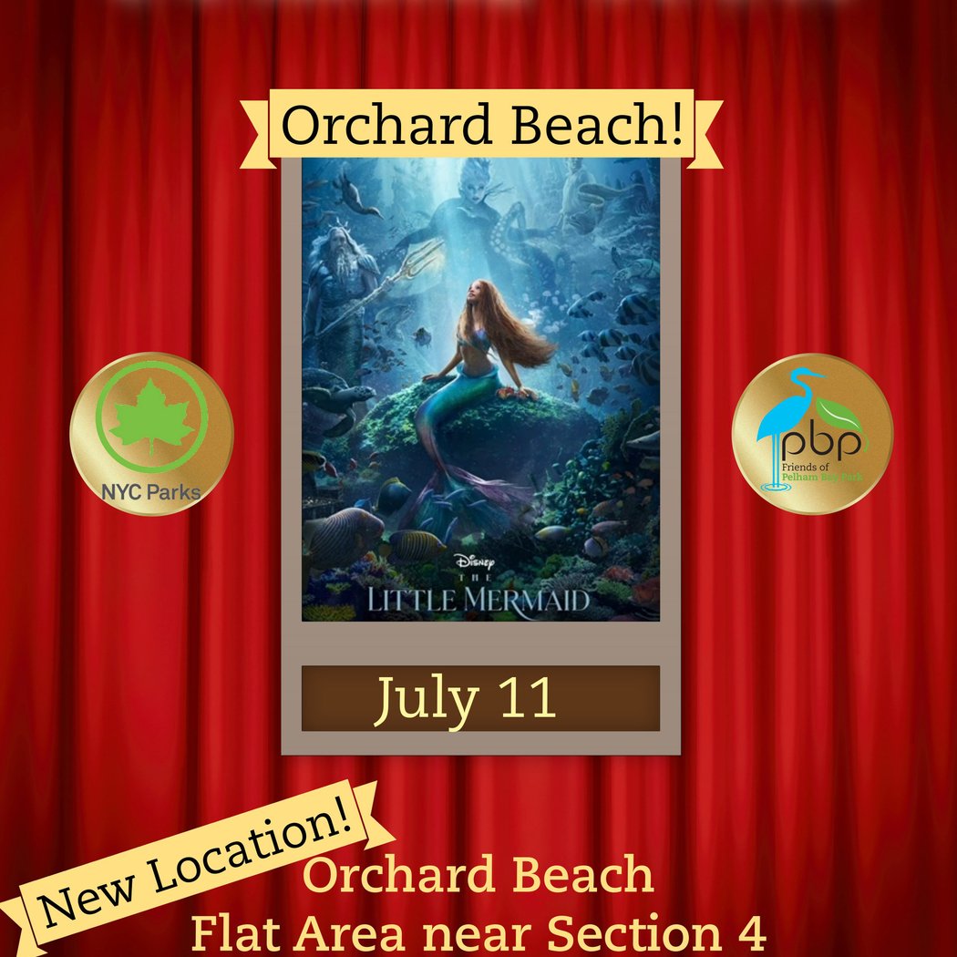 Movies Under the Stars: The Little Mermaid (Live Action) 1