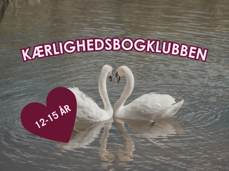 Kærlighedsbogklubben