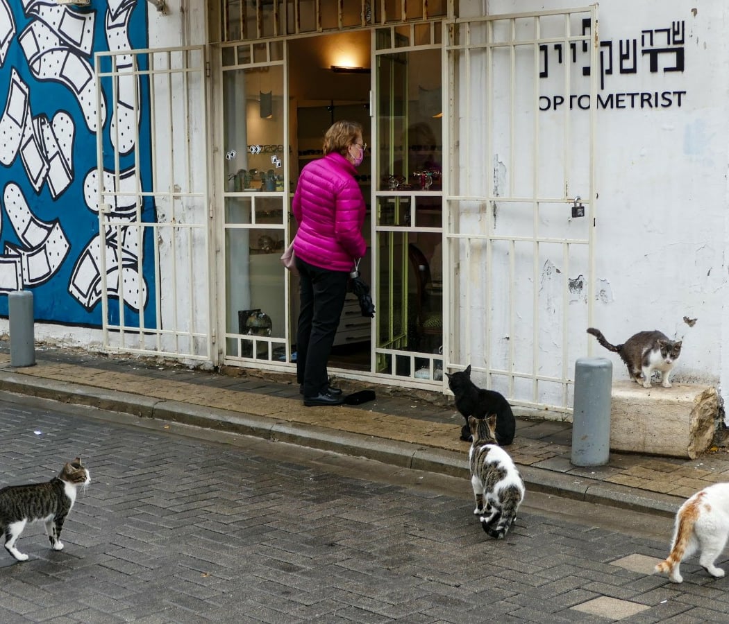 Neve Tzedek 3