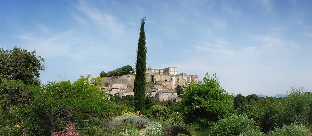 Jardin Méditerranéen (espace pour évènement privés) 2
