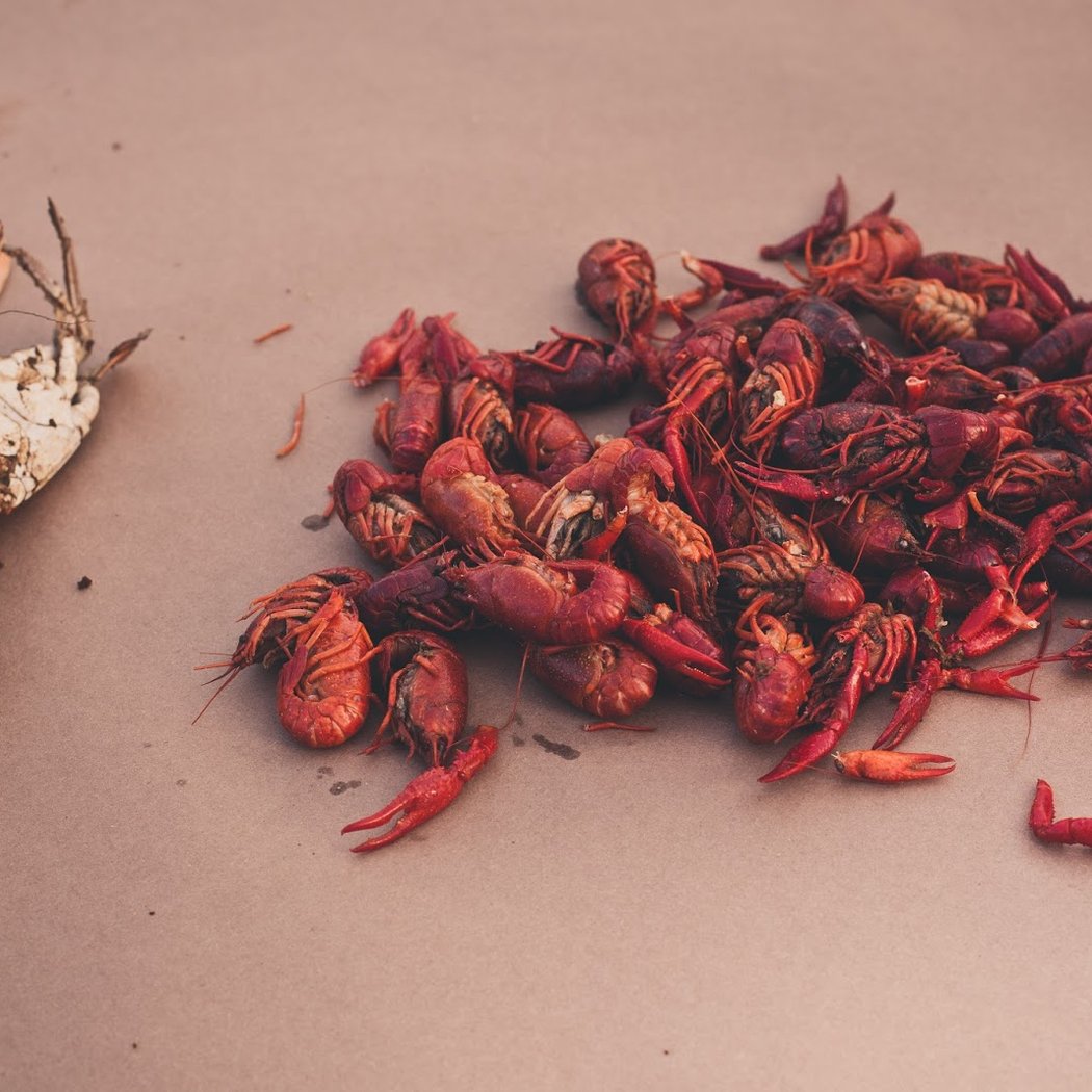 Cap't Loui Broadway - Cajun Seafood Boil 3