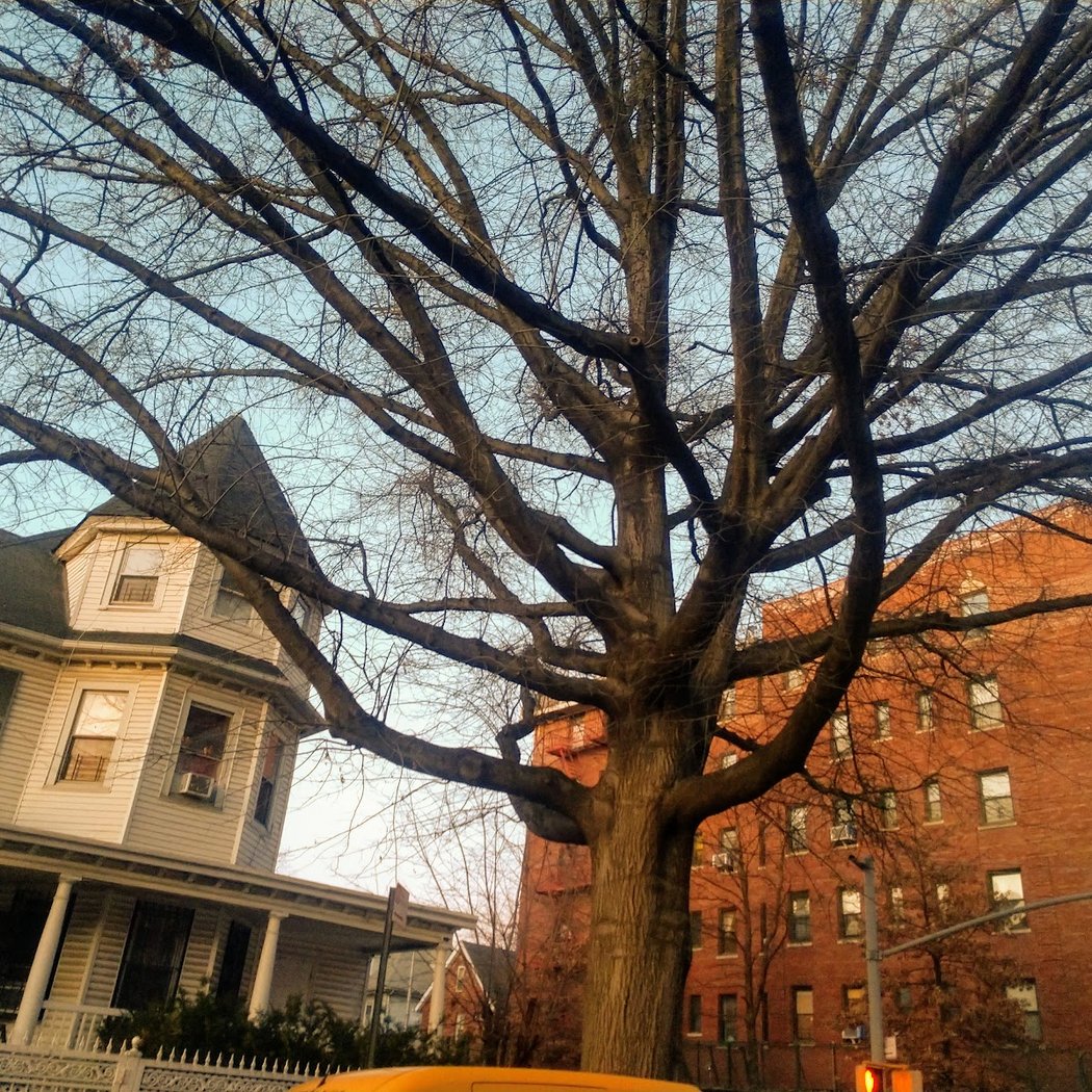 Kensington 2