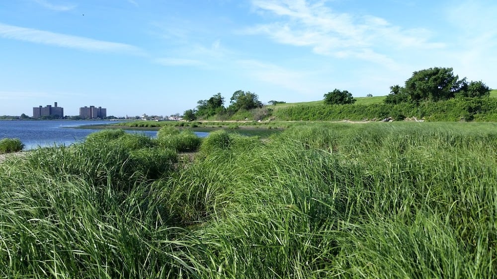 Rockaway Community Park 2