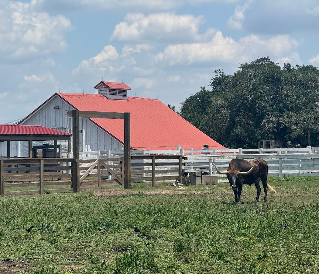 The George Ranch 3