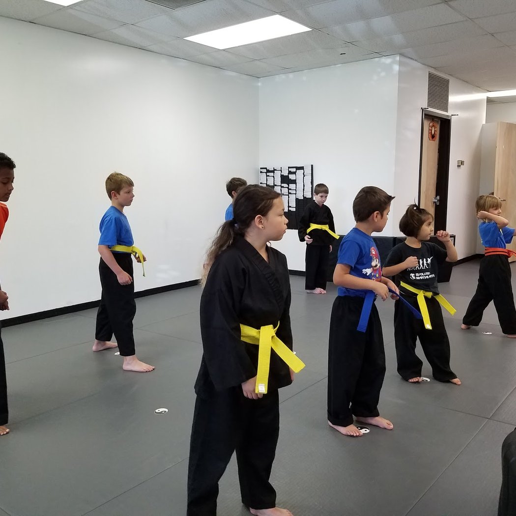 OSA Martial Arts- Taekwondo Judo/Jiu-Jitsu Women Classes Hapkido B4 & After-School 2