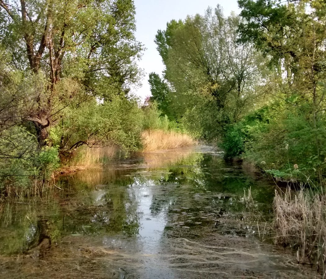 Kaiserwasser 3