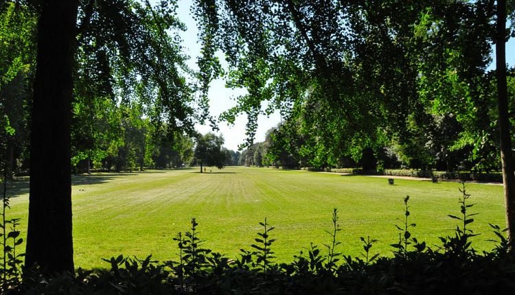 Parco delle Cascine 2