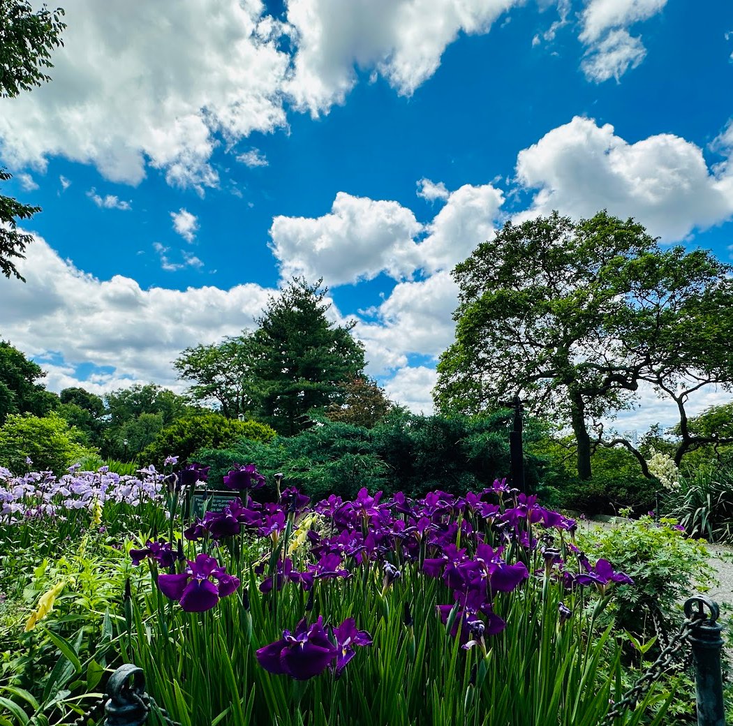 Heather Garden