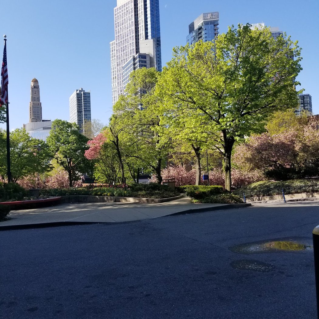 Black History And Culture Tour Of Fort Greene 4