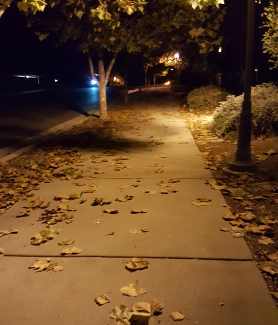 Hamilton Dr 1