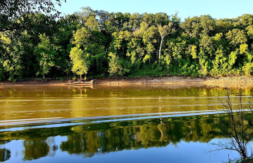 Swamp Woodland Bioblitz 1
