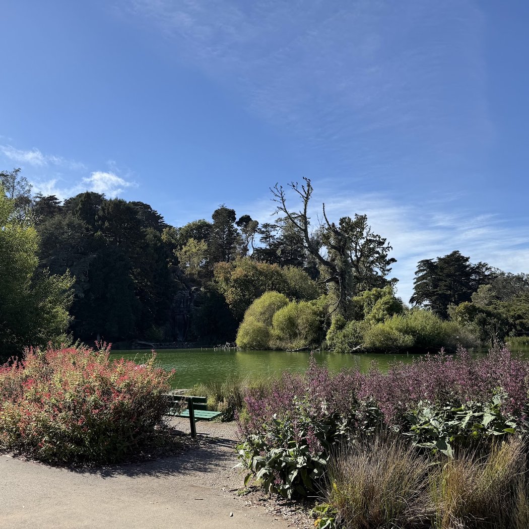 Zellerbach Garden of Perennials 2