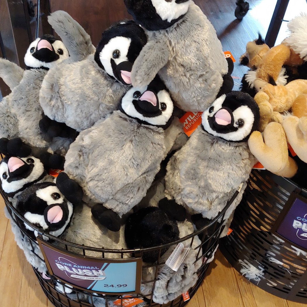 Wildlife Connection Shop 3