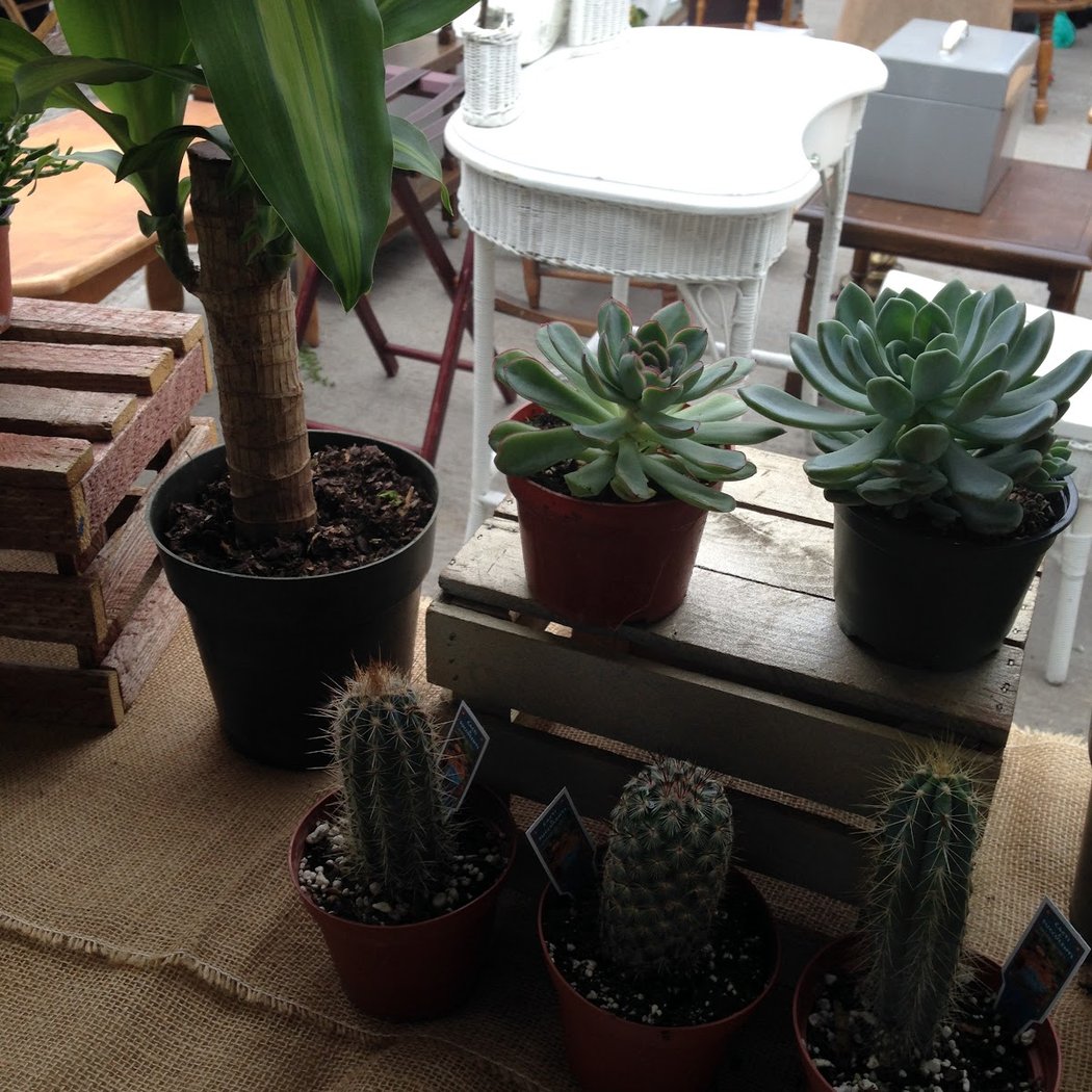 Bushwick Flea 2