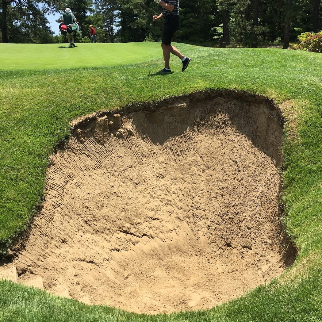 Curtis Cup 2