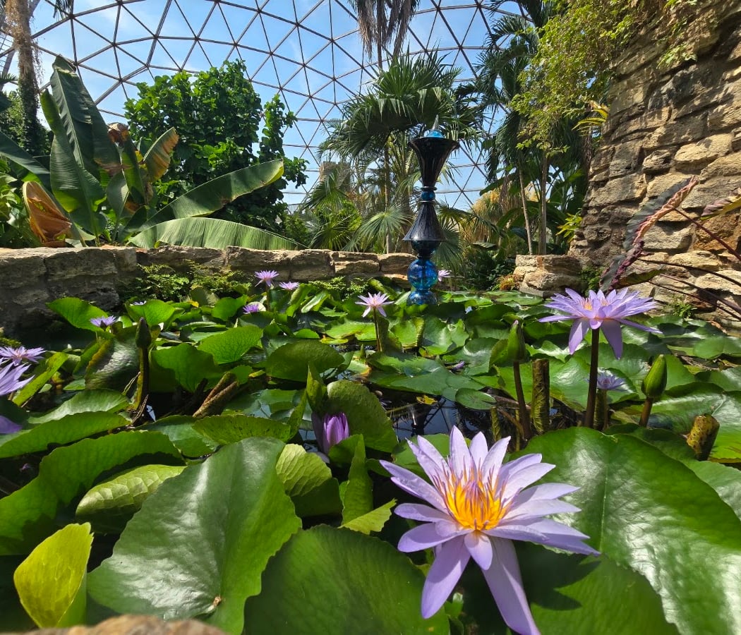 Greater Des Moines Botanical Garden 3