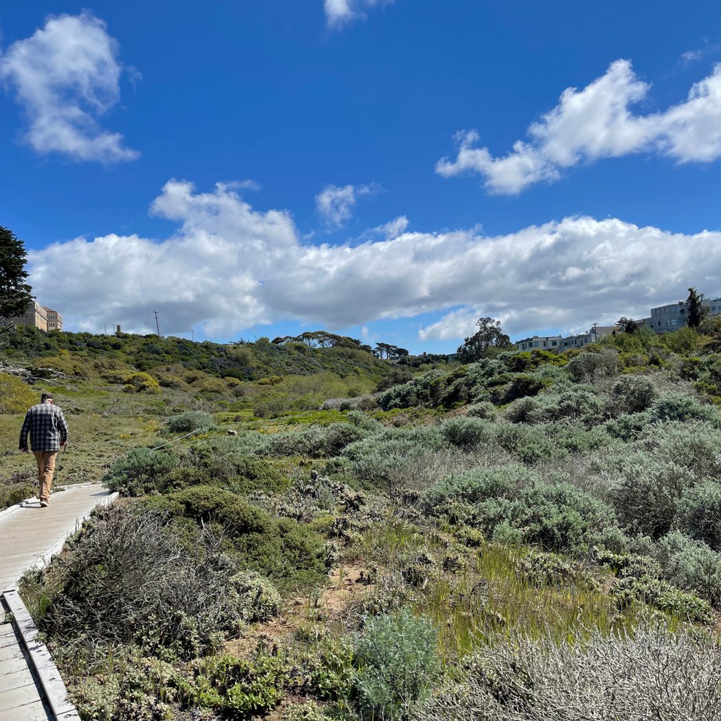 Lobos Creek Valley Trail 2