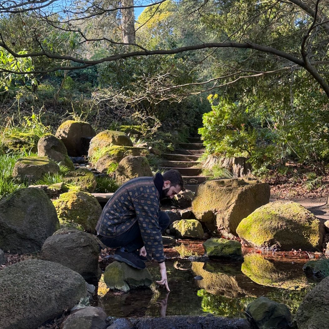 August Forest Bathing 2