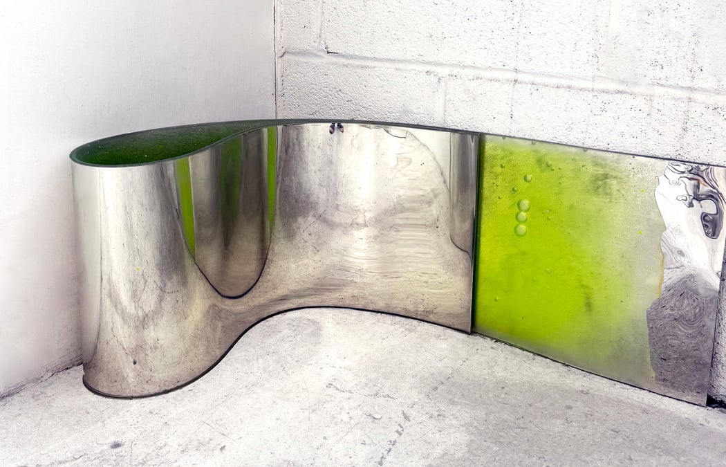 Carrie Yamaoka, Einzelausstellung